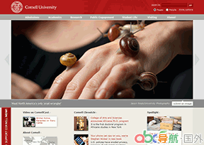 康奈爾大學