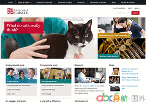 布里斯托大學(xué)