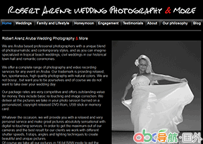 羅伯特阿倫茨專業(yè)婚典攝影