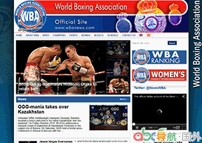 世界拳擊協(xié)會(huì)