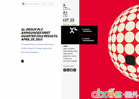 XL集團