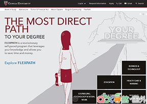 凱佩拉大學(xué)