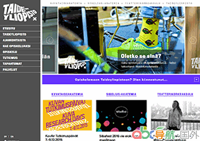 芬蘭美術(shù)學(xué)院