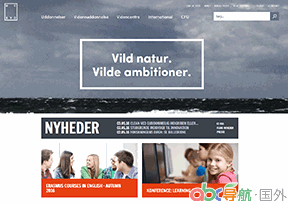 西日德蘭大學(xué)學(xué)院