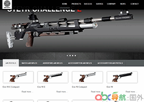 施泰爾運(yùn)動(dòng)槍有限公司