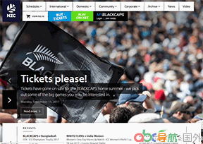 新西蘭國(guó)家板球隊(duì)_黑帽隊(duì)