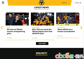 伍爾弗漢普頓流浪者足球俱樂部