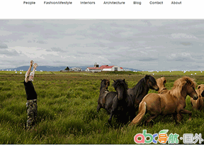 布拉吉?托爾攝影