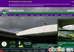 溫網(wǎng)公開(kāi)賽