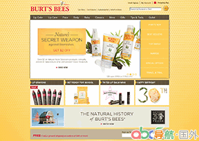 美國(guó)小蜜蜂