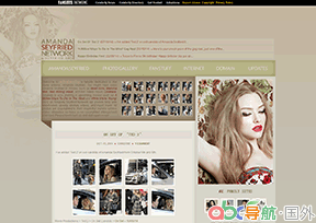 阿曼達?塞弗里德