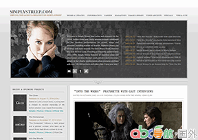 梅麗爾?斯特里普