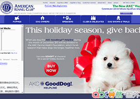 美國(guó)養(yǎng)犬俱樂(lè)部