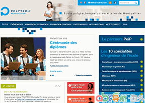 蒙彼利埃綜合理工學(xué)院