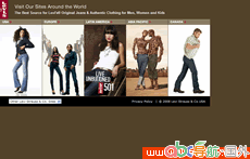 李維斯官方網(wǎng)站