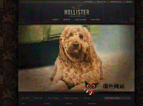 HollisterCo