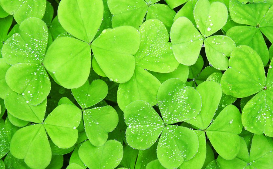 任仕達(dá)集團(tuán)圖片