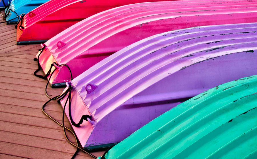 悉尼晨鋒報圖片