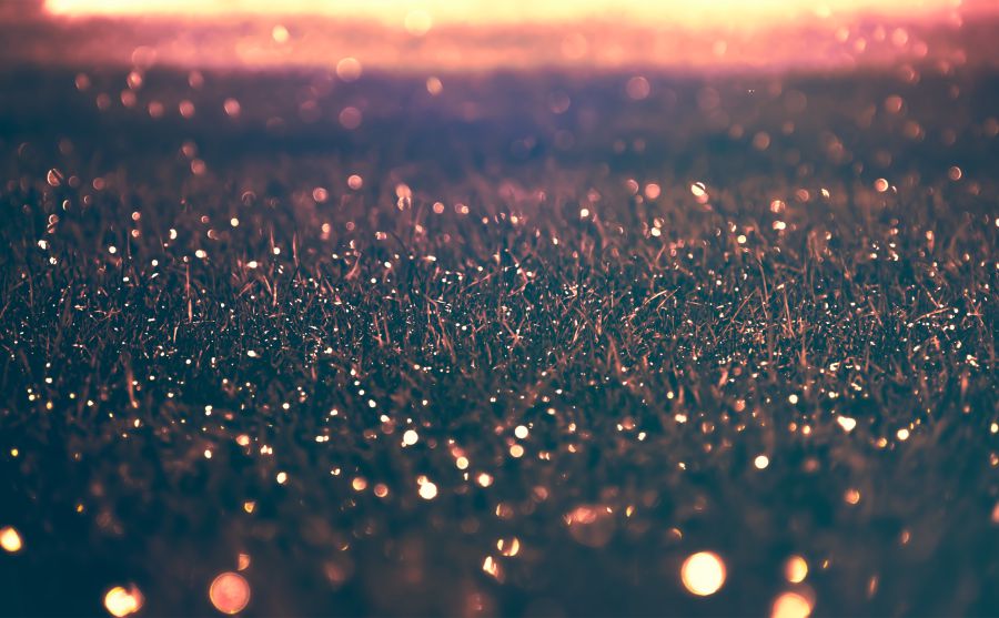 金巴斯集團(tuán)圖片