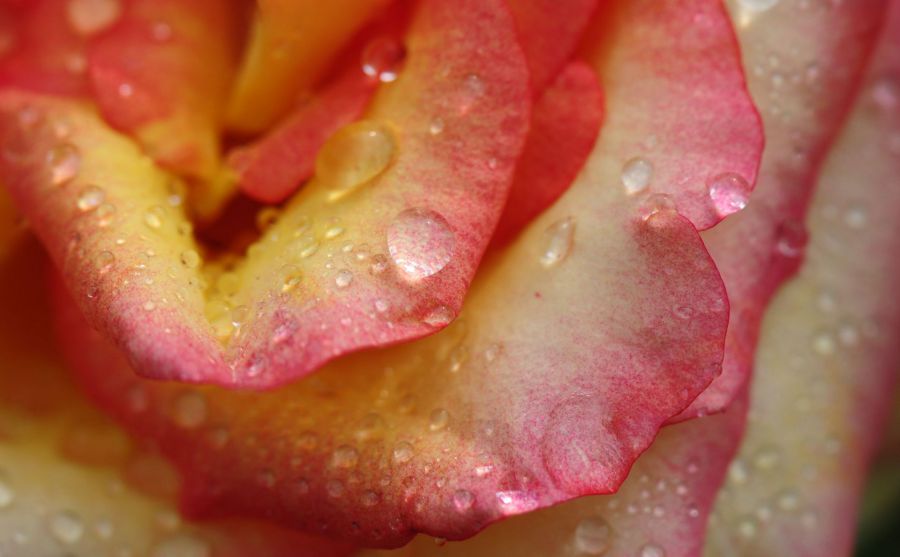 A24電影公司圖片