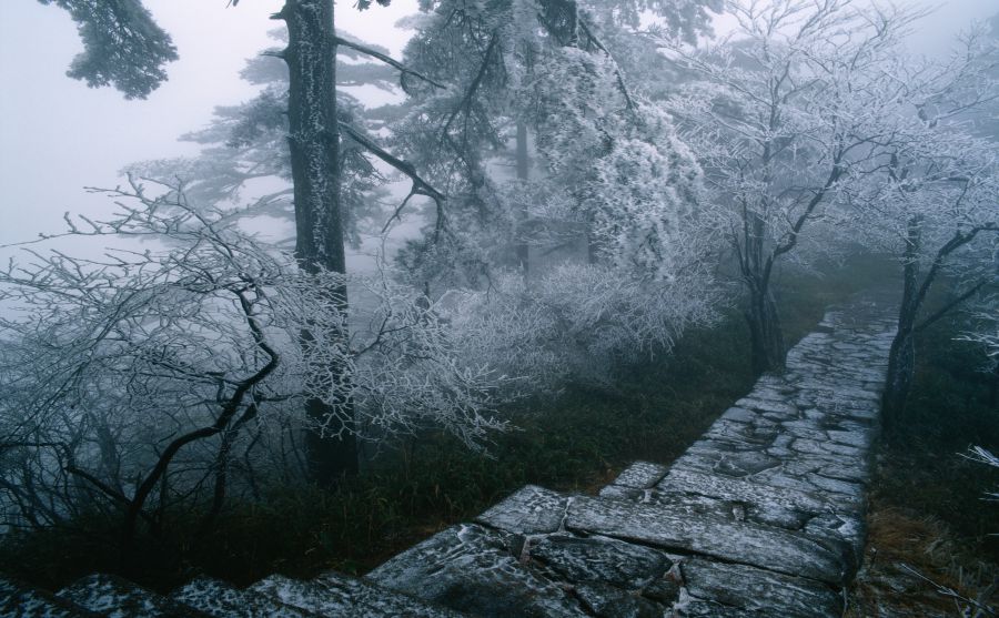美國金融博物館圖片