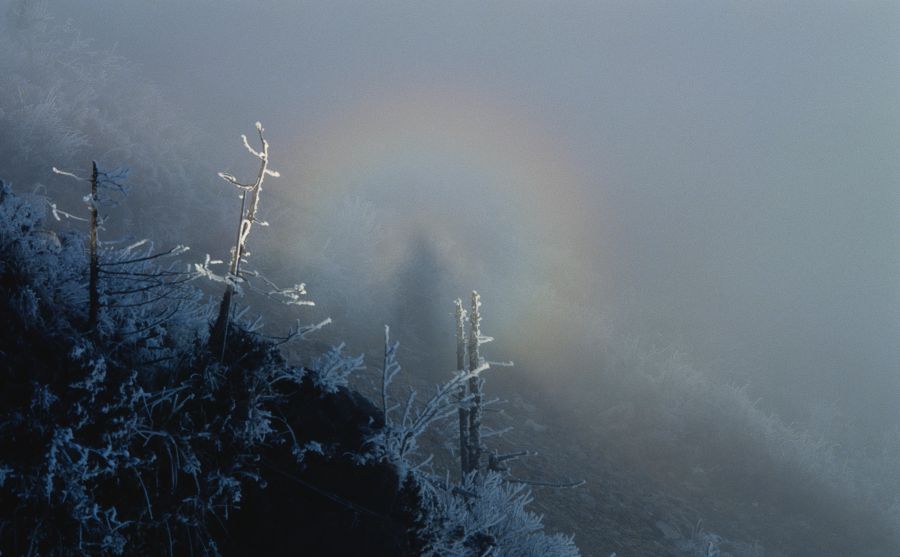 格羅茲尼捷列克圖片
