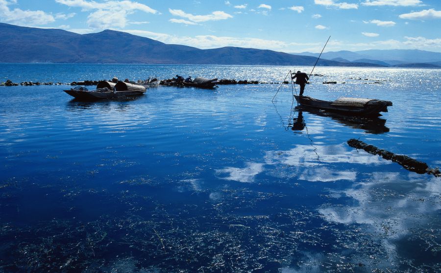 丹麥JuBii門戶網(wǎng)圖片