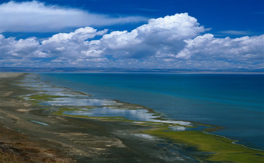 Paraguay Hits音樂(lè)圖片