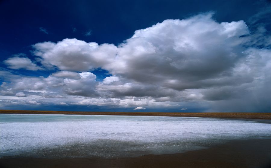 New York & Company圖片