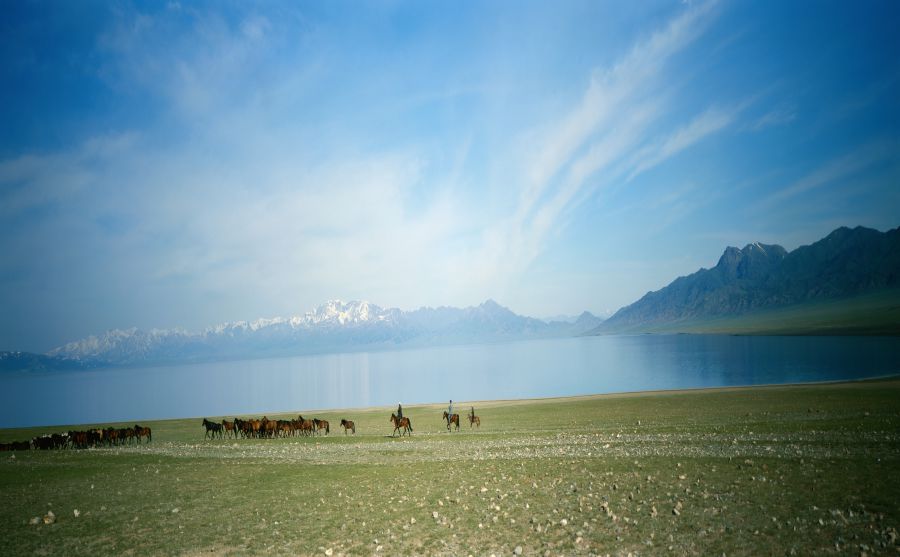 奧盧理工學(xué)院圖片