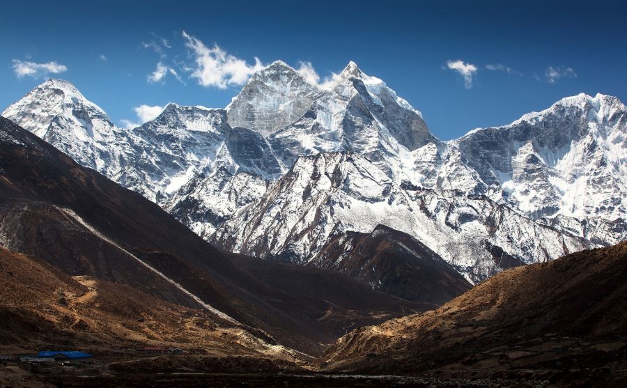 我的貓恨你圖片