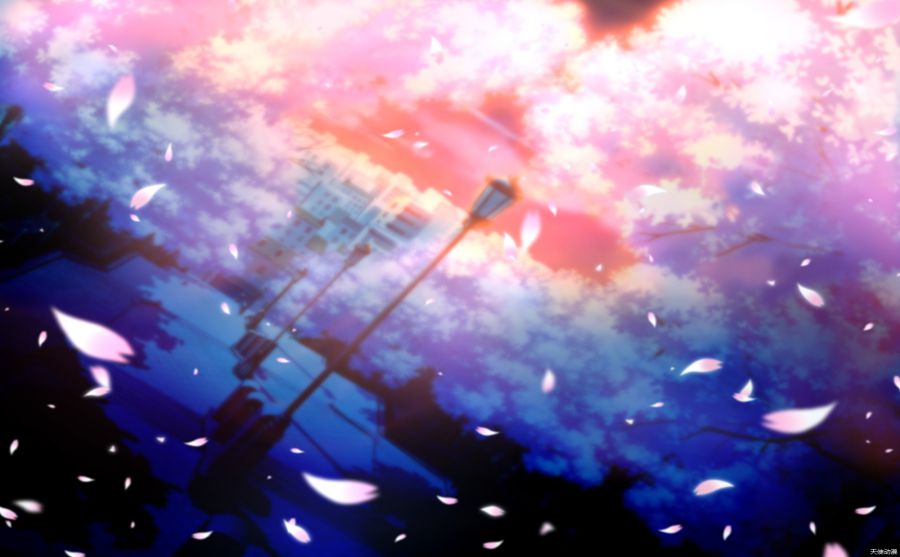 布爾諾理工大學(xué)圖片