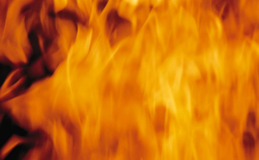 Nikonlinks.com圖片