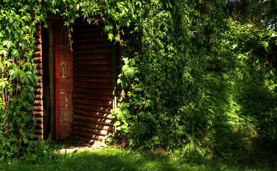 南戈壁資源圖片