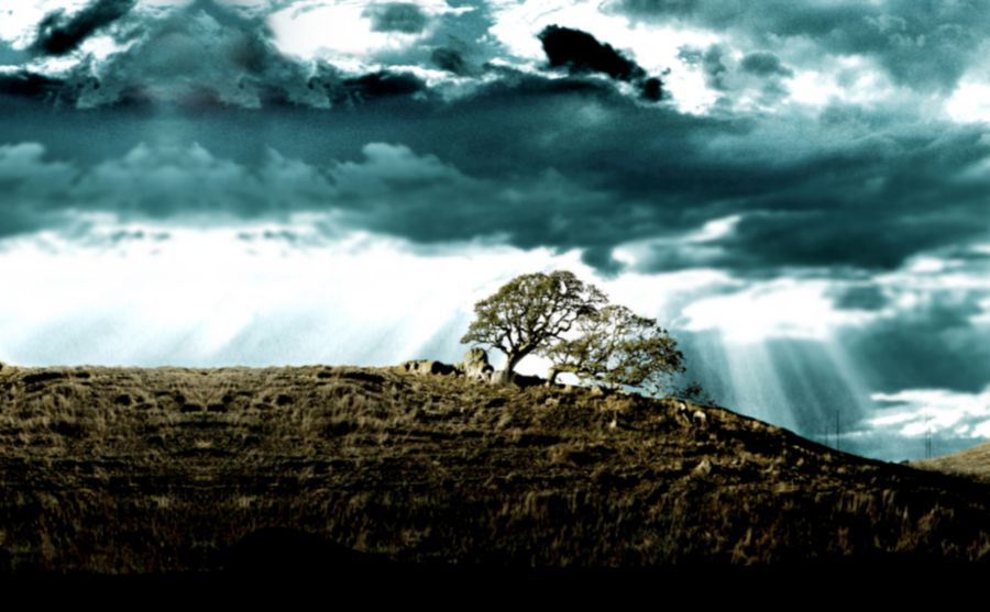 波蘭選舉報(bào)圖片