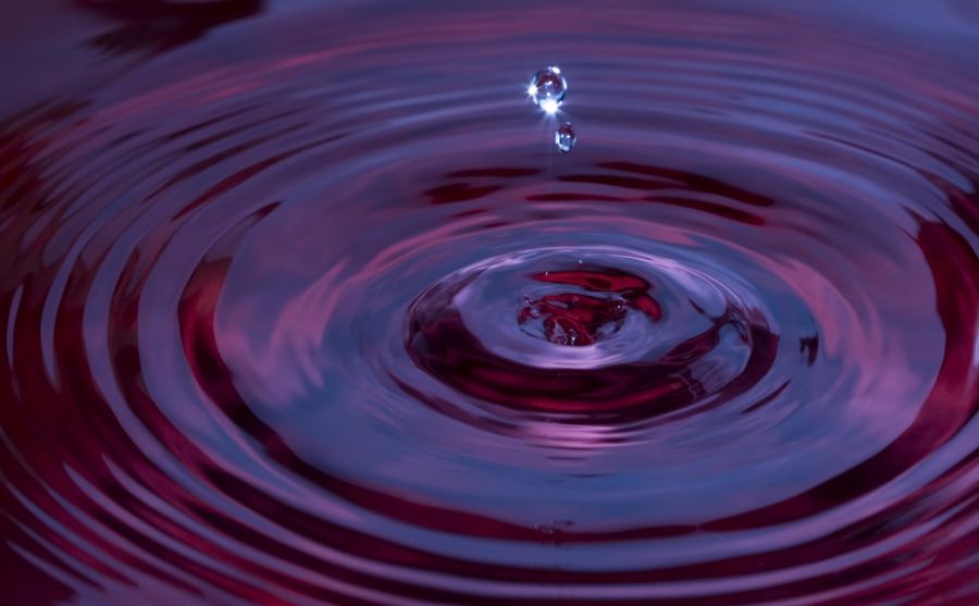 德國聯(lián)邦環(huán)境、自然保育及核能安全部圖片