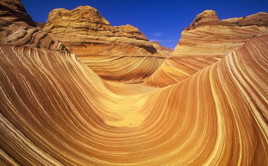 魏斯可金融公司圖片