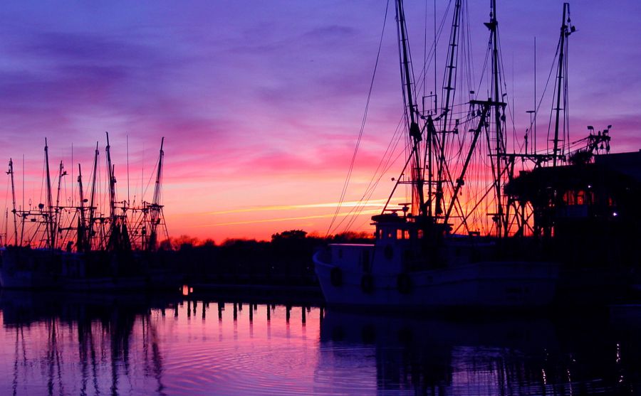 新墨西哥州立大學圖片