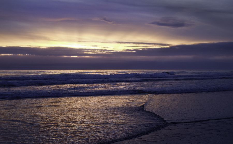 世界自然保護(hù)聯(lián)盟圖片