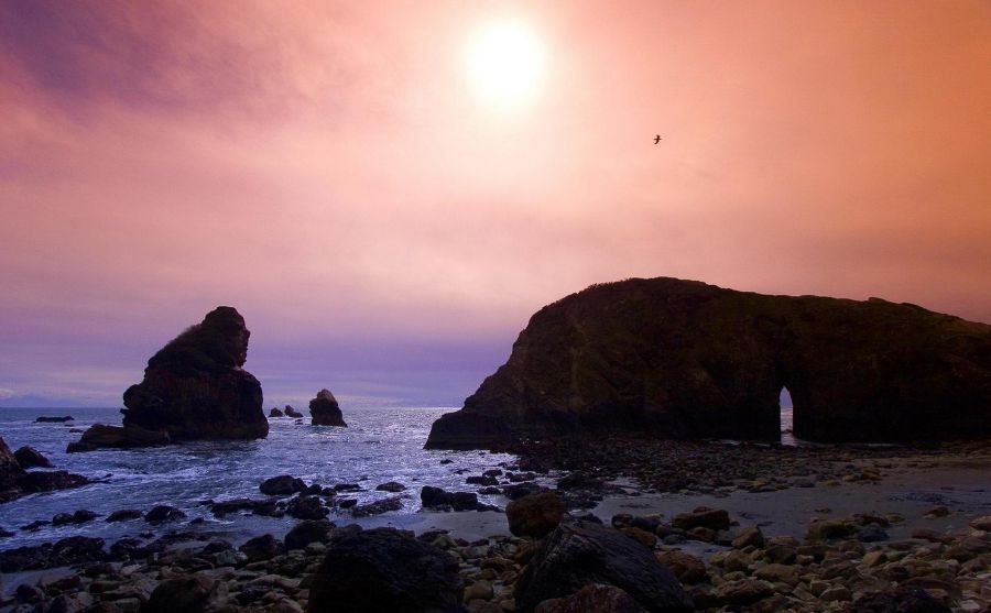 凱爾文學(xué)院圖片