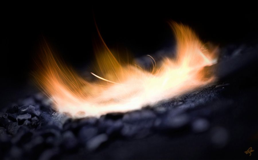 大日本印刷圖片