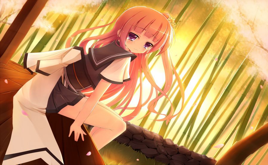 醫(yī)藥信息網(wǎng)圖片