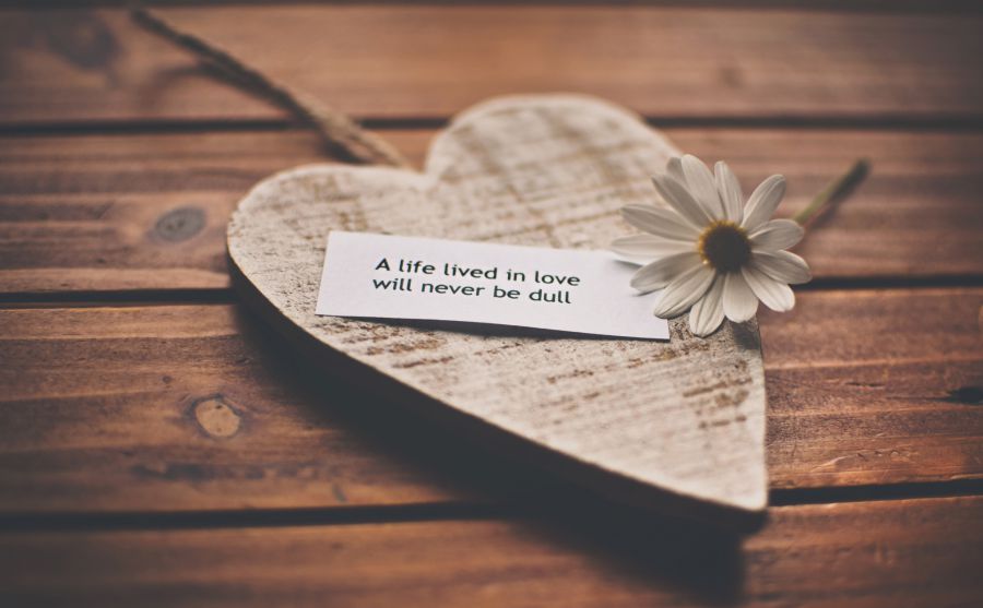 基礎(chǔ)物理學(xué)突破獎(jiǎng)圖片