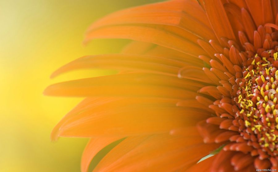 馬印航空（Malindo Air）圖片