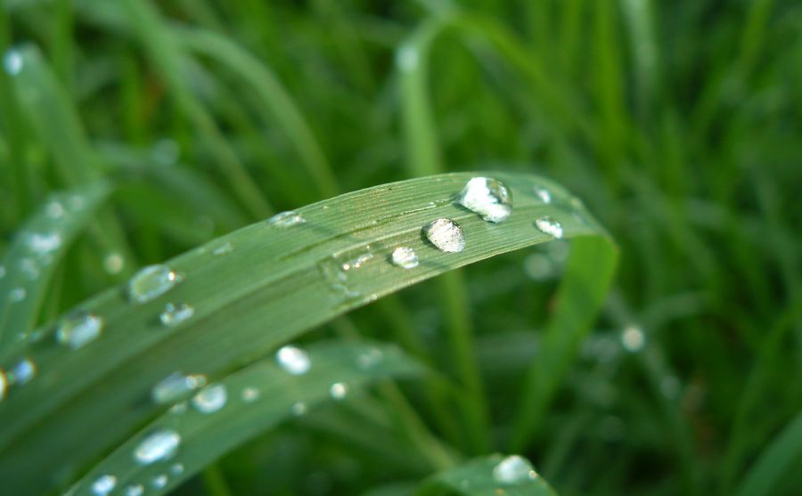 哈佛藝術(shù)博物館圖片