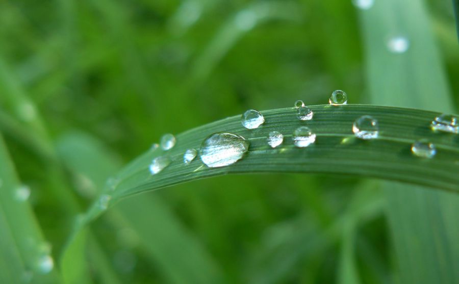 西城男孩Westlife圖片