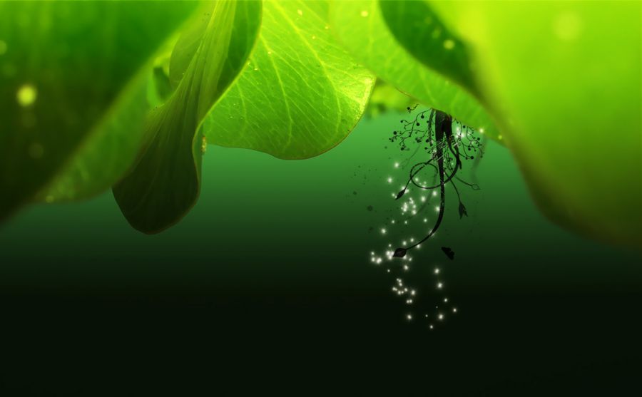 中國(guó)駐卡爾加里總領(lǐng)事館圖片