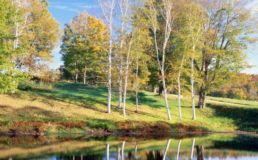 《名利場》(Vanity Fair)圖片