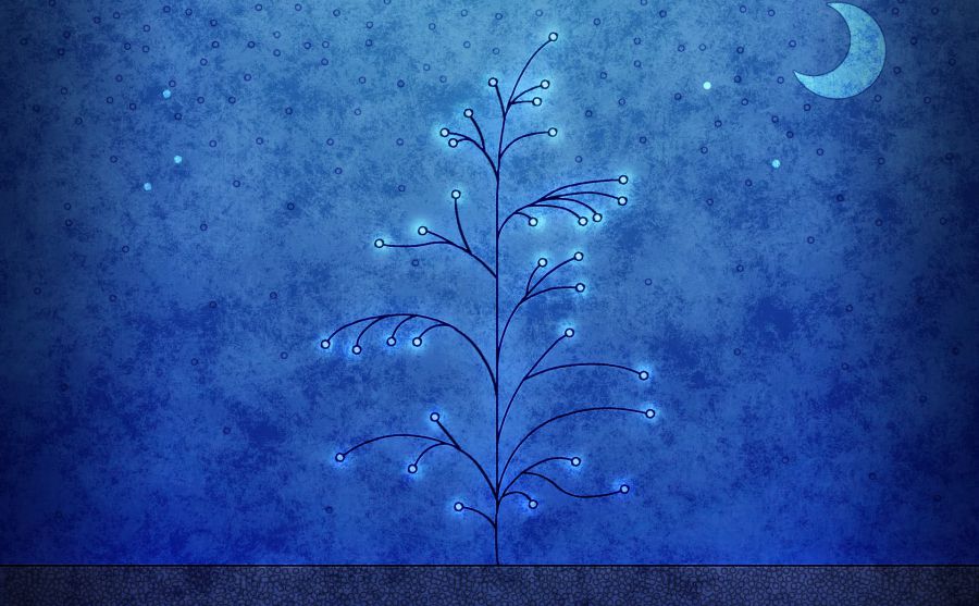 環(huán)球小姐圖片