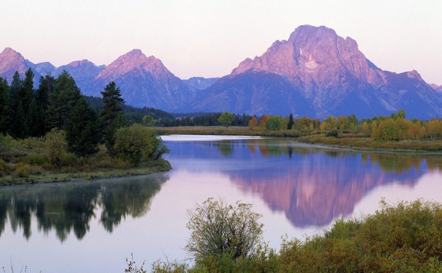 米特?羅姆尼圖片